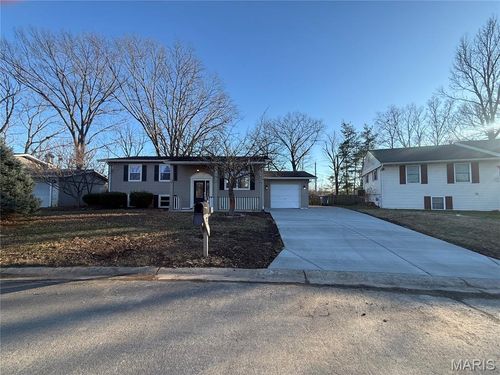 12 Belleau Lake Ct, O Fallon, MO, 63366-3114 | Card Image