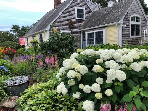 8 Midway Rd, Pocasset, MA, 02559-1809 | Card Image