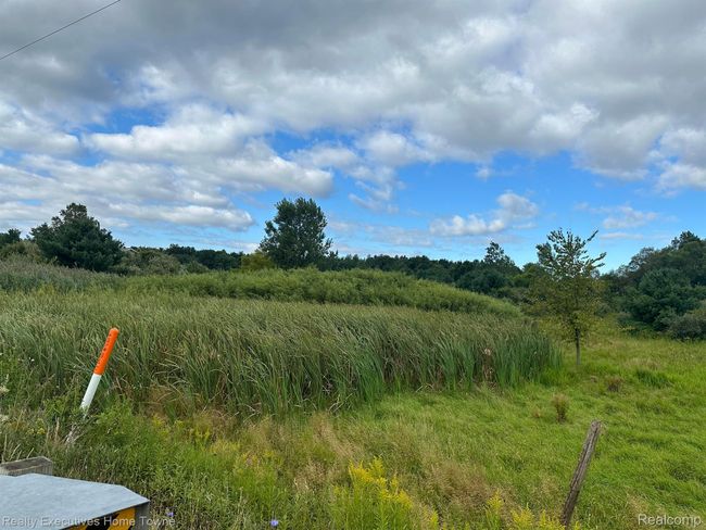 000 Wildcat Rd, Home with 0 bedrooms, 0 bathrooms and null parking in Jeddo MI | Image 7