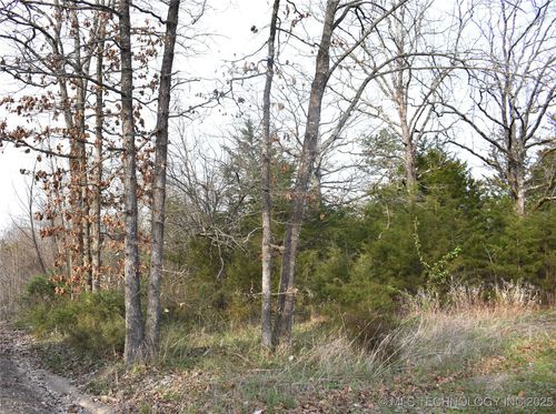 1 Sweet Gum Rd, Rattan, OK, 74562 | Card Image