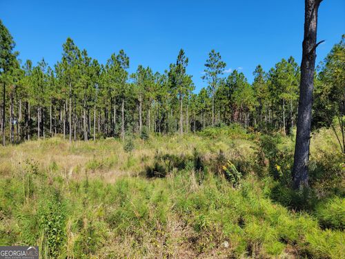 0 Tuton Rd, Baconton, GA, 31716 | Card Image