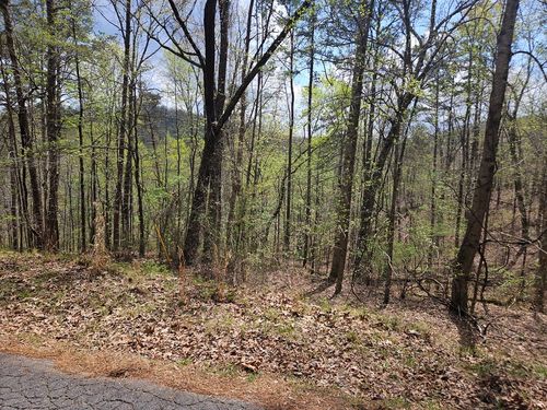 135 Adair Drive, Ranger, GA, 30734 | Card Image