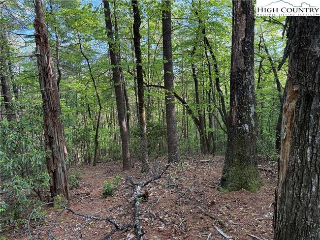 27 Wolf Pen Rd, Home with 0 bedrooms, 0 bathrooms and null parking in Purlear NC | Image 16