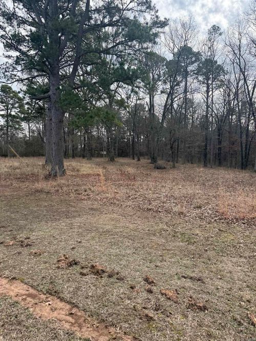 000 Donnies Dr, Clinton, AR, 72031 | Card Image