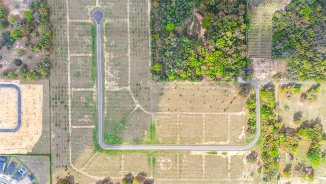 lot 7 Panoramic View Drive, Home with 0 bedrooms, 0 bathrooms and null parking in Apopka FL | Image 22