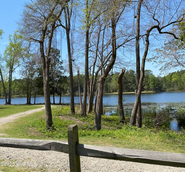 Views from street/ walk to the lake ! | Image 13