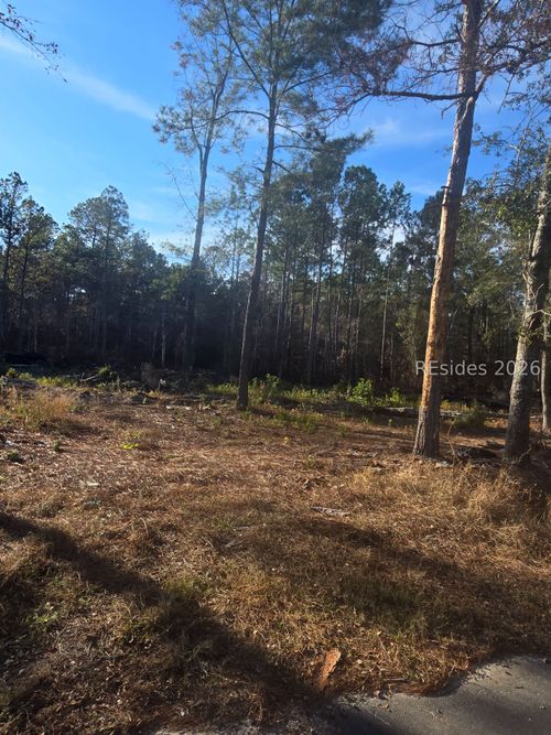 TBD Langfordville Rd, Ridgeland, SC, 29936 | Card Image