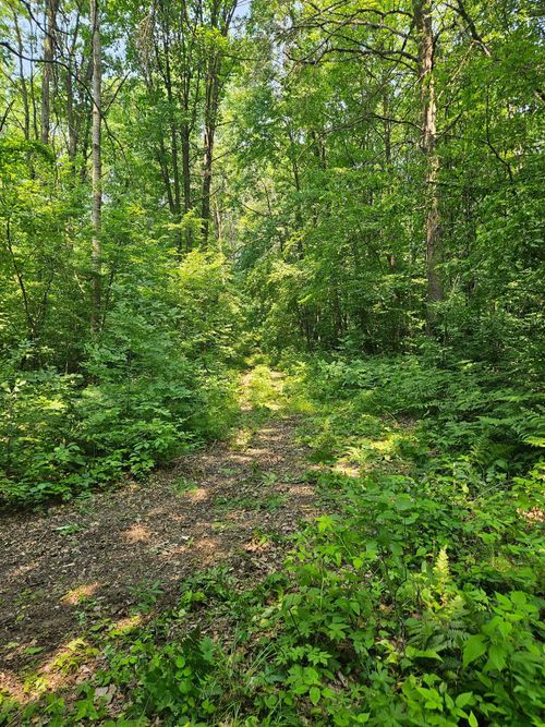 49 acres 16th Avenue, Cameron, WI, 54822 | Card Image