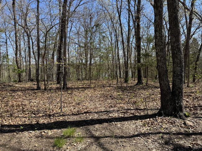 Land | Image 9