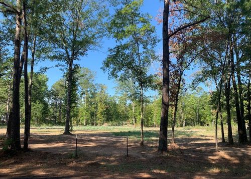 Lot 3 Waldrons Ferry Rd, Hallsville, TX, 75650 | Card Image