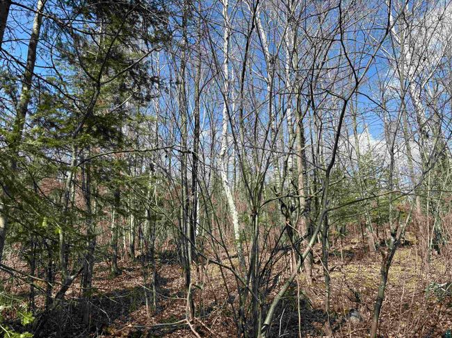 Unit 5 Fernberg Rd, Home with 0 bedrooms, 0 bathrooms and null parking in Ely MN | Image 8
