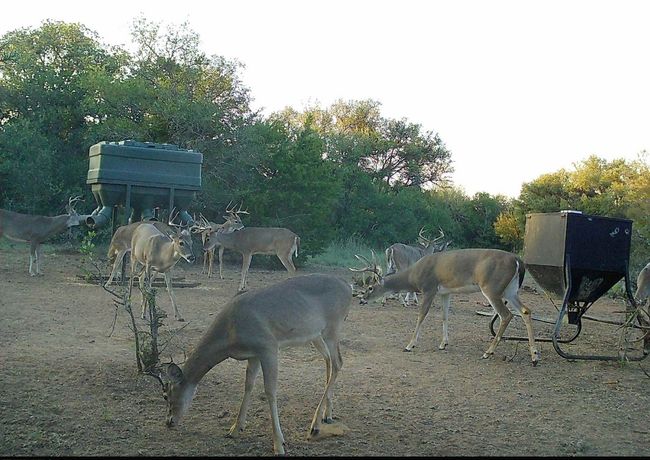 View of yard | Image 20