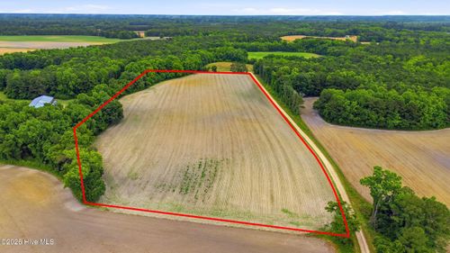 Tbd Pig Palace Lane, Council, NC, 28434 | Card Image
