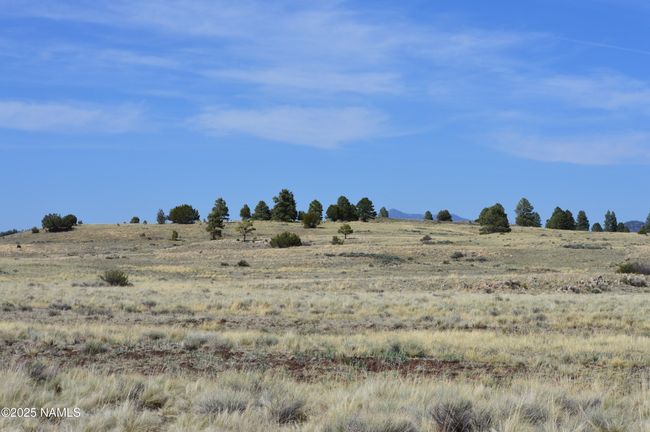 2 E Tanner Ranch Rd, Home with 0 bedrooms, 0 bathrooms and null parking in Parks AZ | Image 13