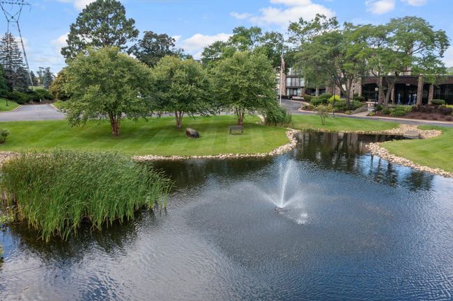 Impeccable Landscaping & Views | Image 18
