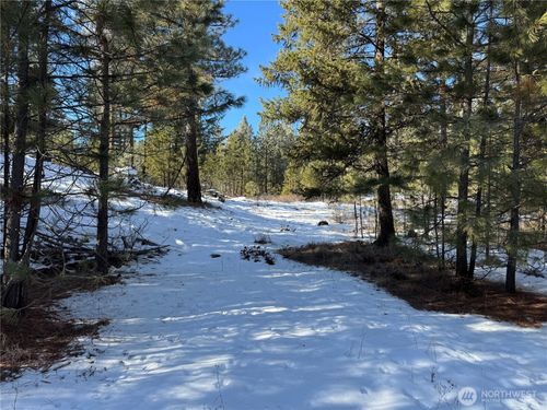 lot-1-0 S Tonasket Ave, Tonasket, WA, 98855-9004 | Card Image