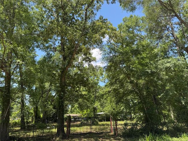 6 Peach Creek Ln, Home with 0 bedrooms, 0 bathrooms and null parking in New Caney TX | Image 14