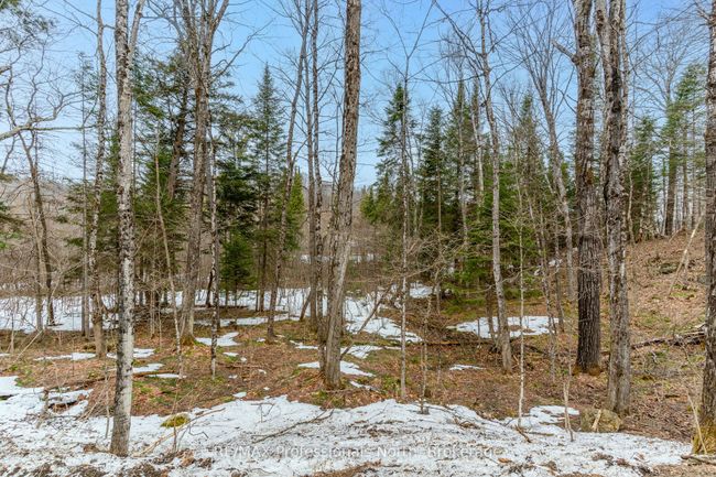 0 Ransley Rd, Home with 0 bedrooms, 0 bathrooms and null parking in Minden ON | Image 24