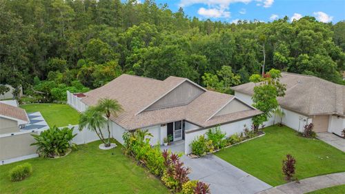 11815 Hickorynut Dr, TAMPA, FL, 33625-5666 | Card Image