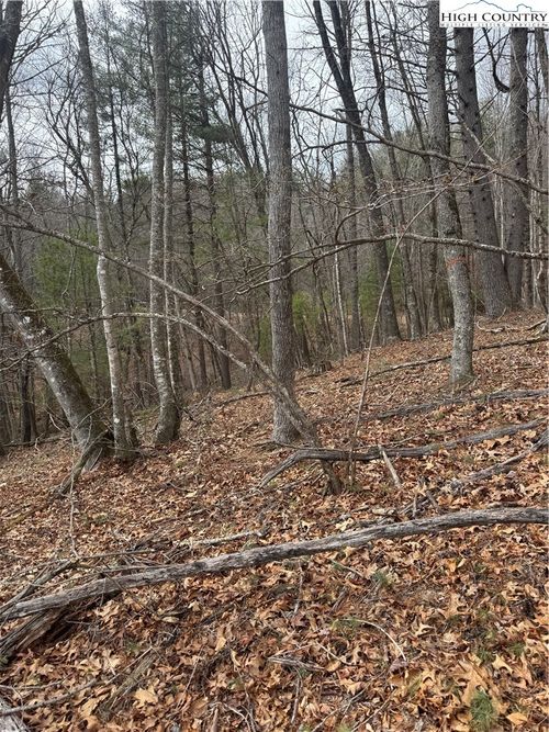 TBD The Peaks Regal Drive, Laurel Springs, NC, 28644 | Card Image