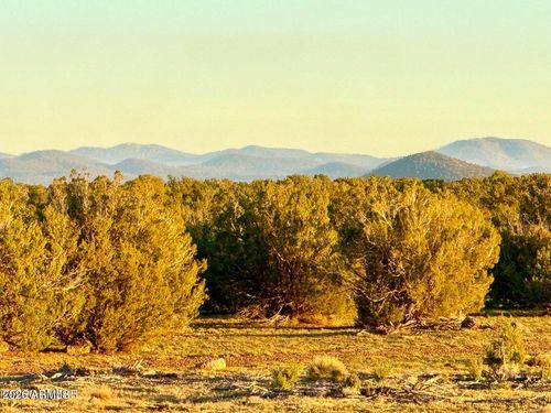 --9023 Appaloosa Trl, Show Low, AZ, 85901 | Card Image