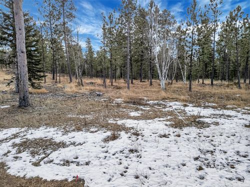 TBD Loft Pines Ct, Lead, SD, 57754 | Card Image