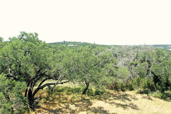 12600 Trail Driver, House other with 3 bedrooms, 2 bathrooms and 3 parking in Austin TX | Image 12