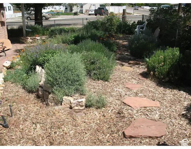 View of yard with fence | Image 13
