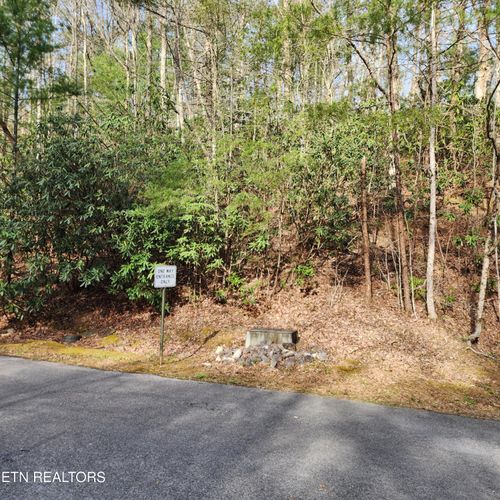 116 Stonegate Way, Townsend, TN, 37882 | Card Image