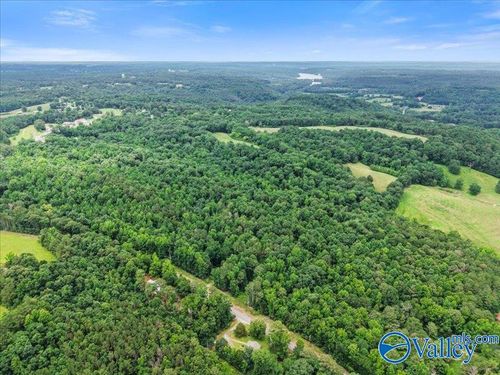 37.0 Acres County Road 940, Crane Hill, AL, 35053 | Card Image