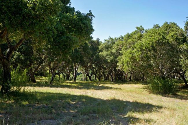 4 Holding Field Run, Home with 0 bedrooms, 0 bathrooms and null parking in Carmel CA | Image 7