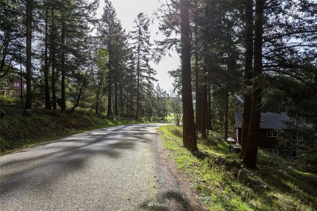 0 Afterglow Dr, Home with 0 bedrooms, 0 bathrooms and null parking in Friday Harbor WA | Image 5
