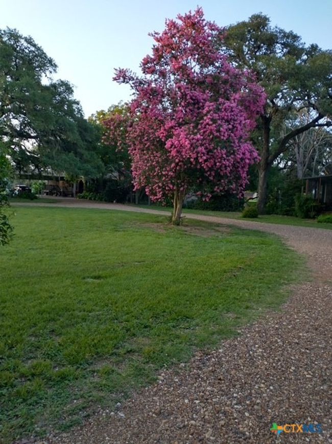 1037 Noll Rd, House other with 3 bedrooms, 3 bathrooms and null parking in Meyersville TX | Image 4