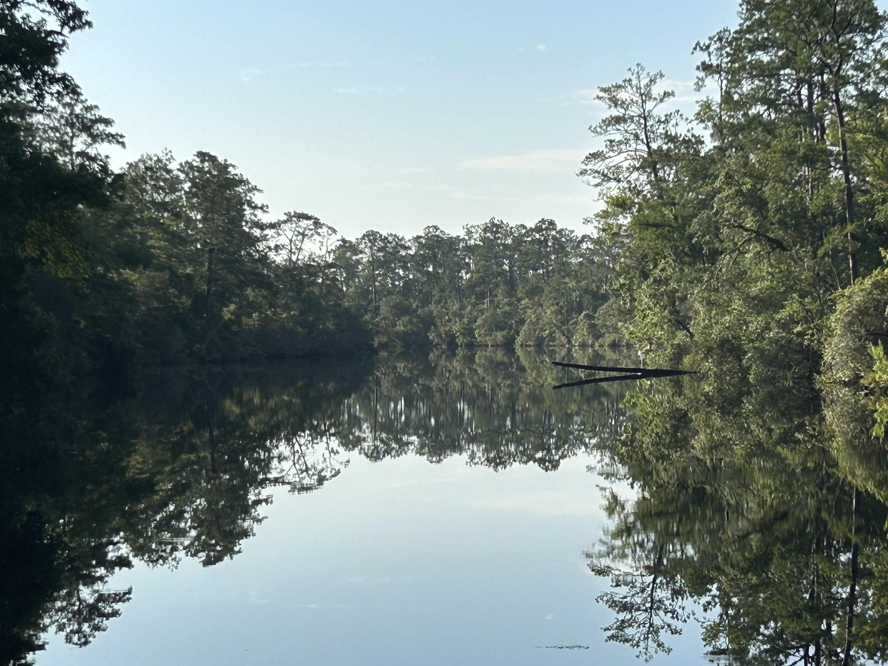 Green Rd, Sopchoppy, FL 32358