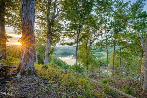 Lot 24 Cowan Town Rd, Butler, TN, 37640 | Card Image