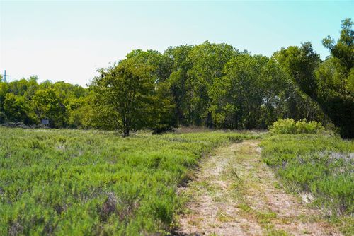 TBD County Rd, Rhome, TX, 76078 | Card Image