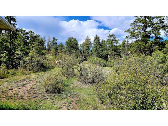 324 Pikeview Ln, House other with 3 bedrooms, 2 bathrooms and null parking in Florissant CO | Image 41