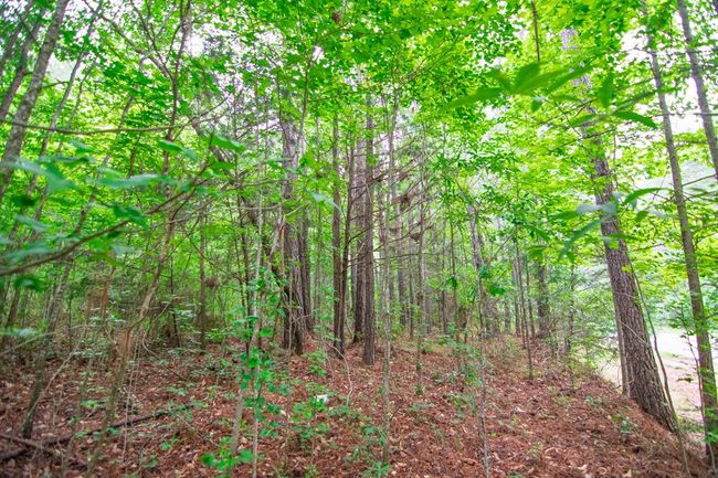 0 Us Highway 29, Home with 0 bedrooms, 0 bathrooms and null parking in WEST POINT GA | Image 4