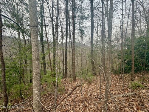 Lot 6 Thissa Way, Gatlinburg, TN, 37738 | Card Image