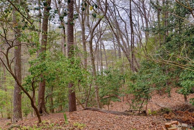 126 Crownpoint Rd, House other with 4 bedrooms, 4 bathrooms and null parking in Williamsburg VA | Image 44