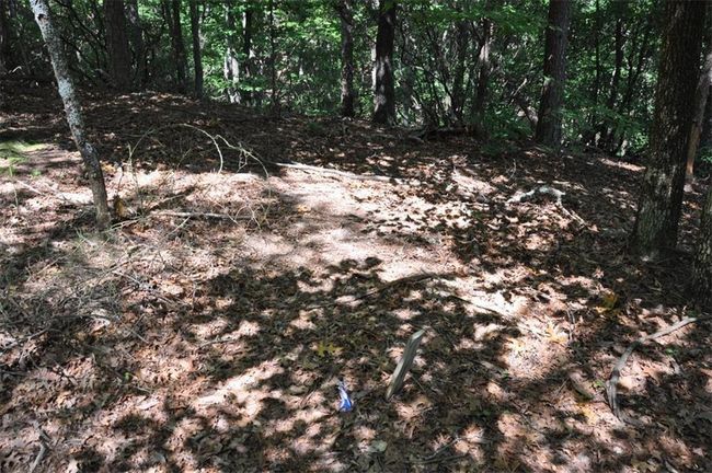 64 Wrens Nest, Home with 0 bedrooms, 0 bathrooms and null parking in Big Canoe GA | Image 6