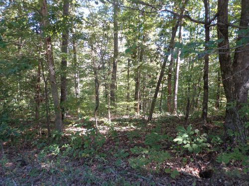 1030 Bucksnort Rd, Only, TN, 37140-4104 | Card Image