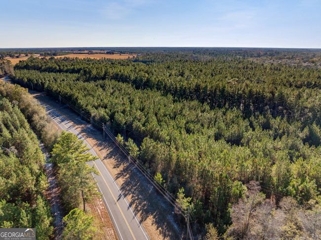 0 Highway 185, Home with 0 bedrooms, 0 bathrooms and null parking in Saint George GA | Image 8