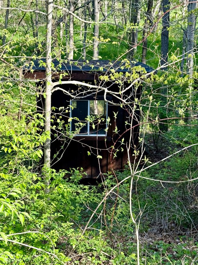 Small 2nd cabin in the woods | Image 39