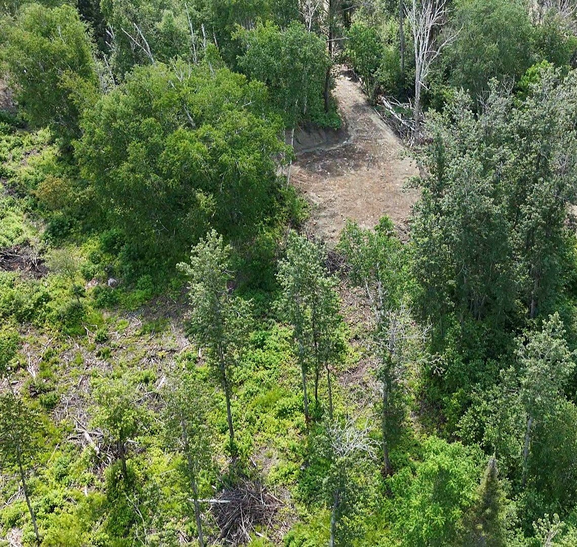 Land in Laverlochère-Angliers 3