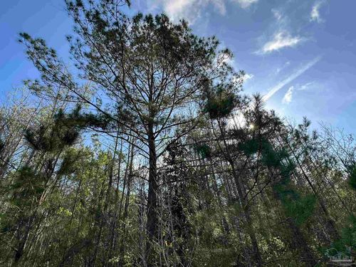 Lot E Snider Rd, Frisco City, AL, 36445 | Card Image