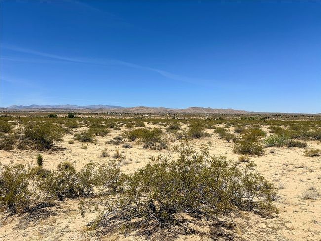 0 Amargo Rd, Home with 0 bedrooms, 0 bathrooms and null parking in Landers CA | Image 4