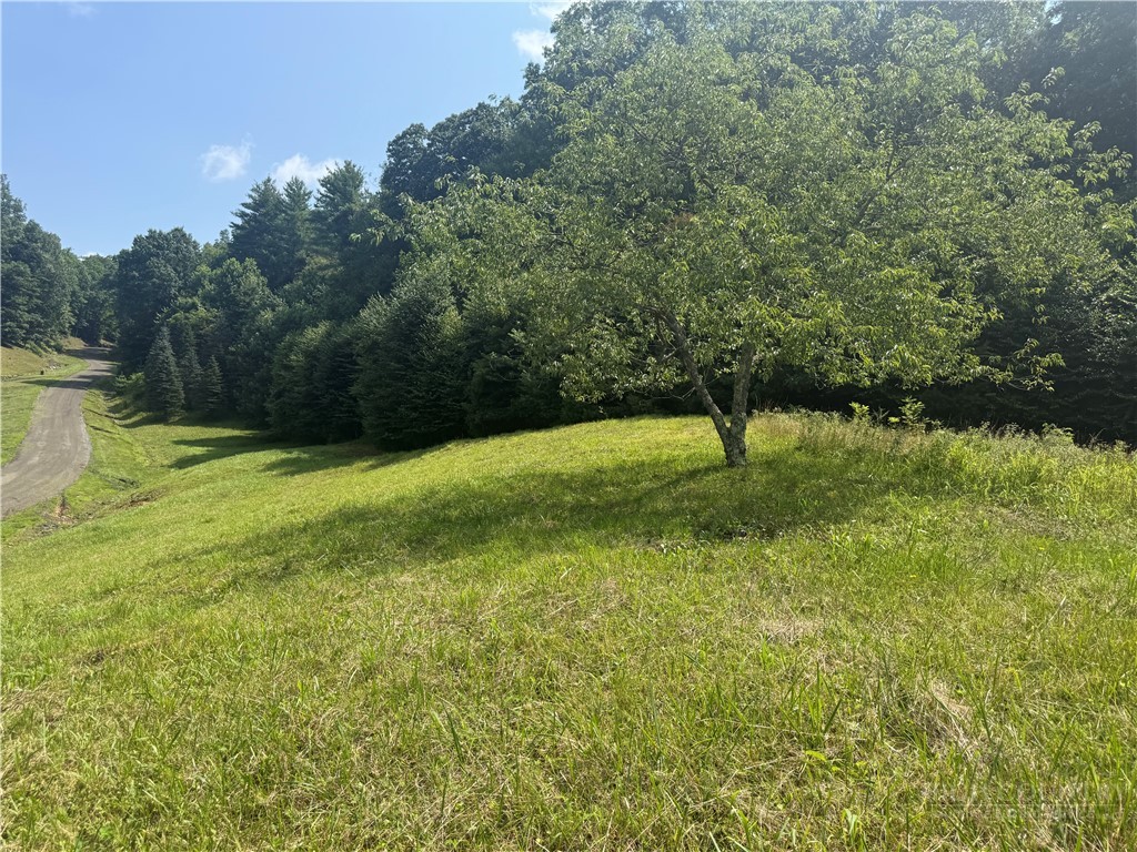 Land in West Jefferson 4