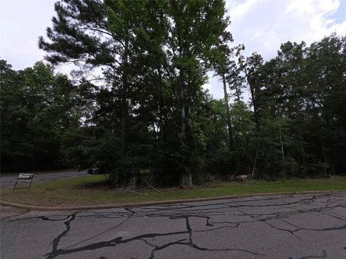 TBD Bermuda Dunes, Huntsville, TX, 77320 | Card Image
