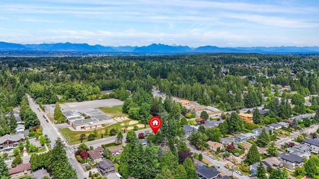 Bird's eye view of a forest and mountains | Image 30